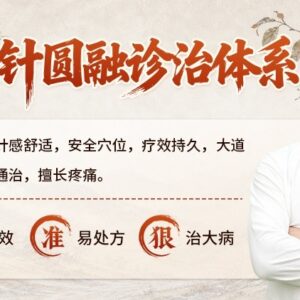三生针圆融诊治体系