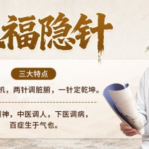 五福隐针