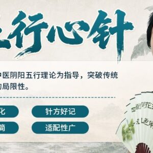 五行心针
