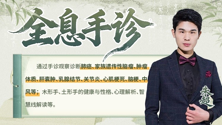 全息手诊