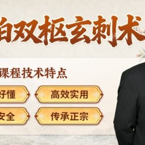 岐伯双枢玄刺术