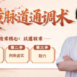 岐黄脉道通调术