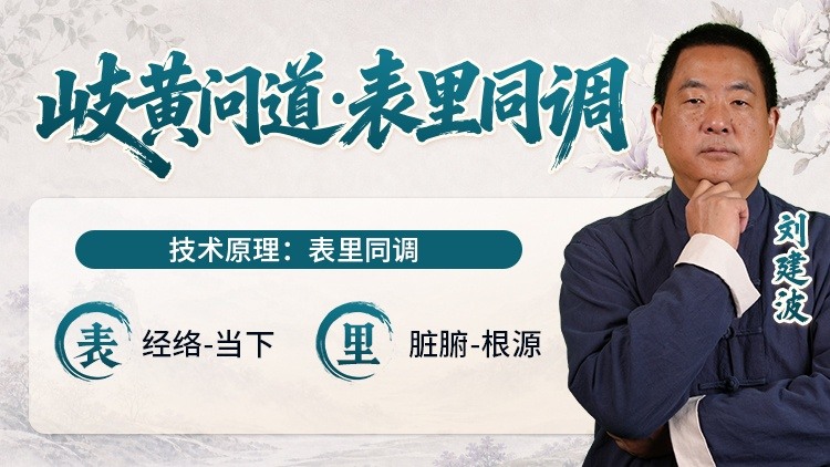 岐黄问道-表里同调
