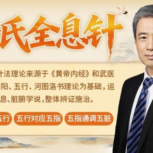 杨氏全息针