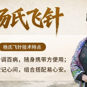 杨氏飞针