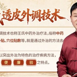 王氏透皮外调技术