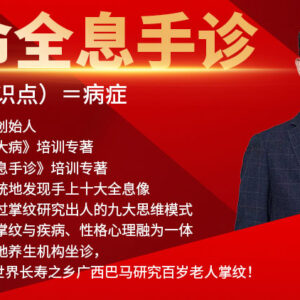 全息手诊